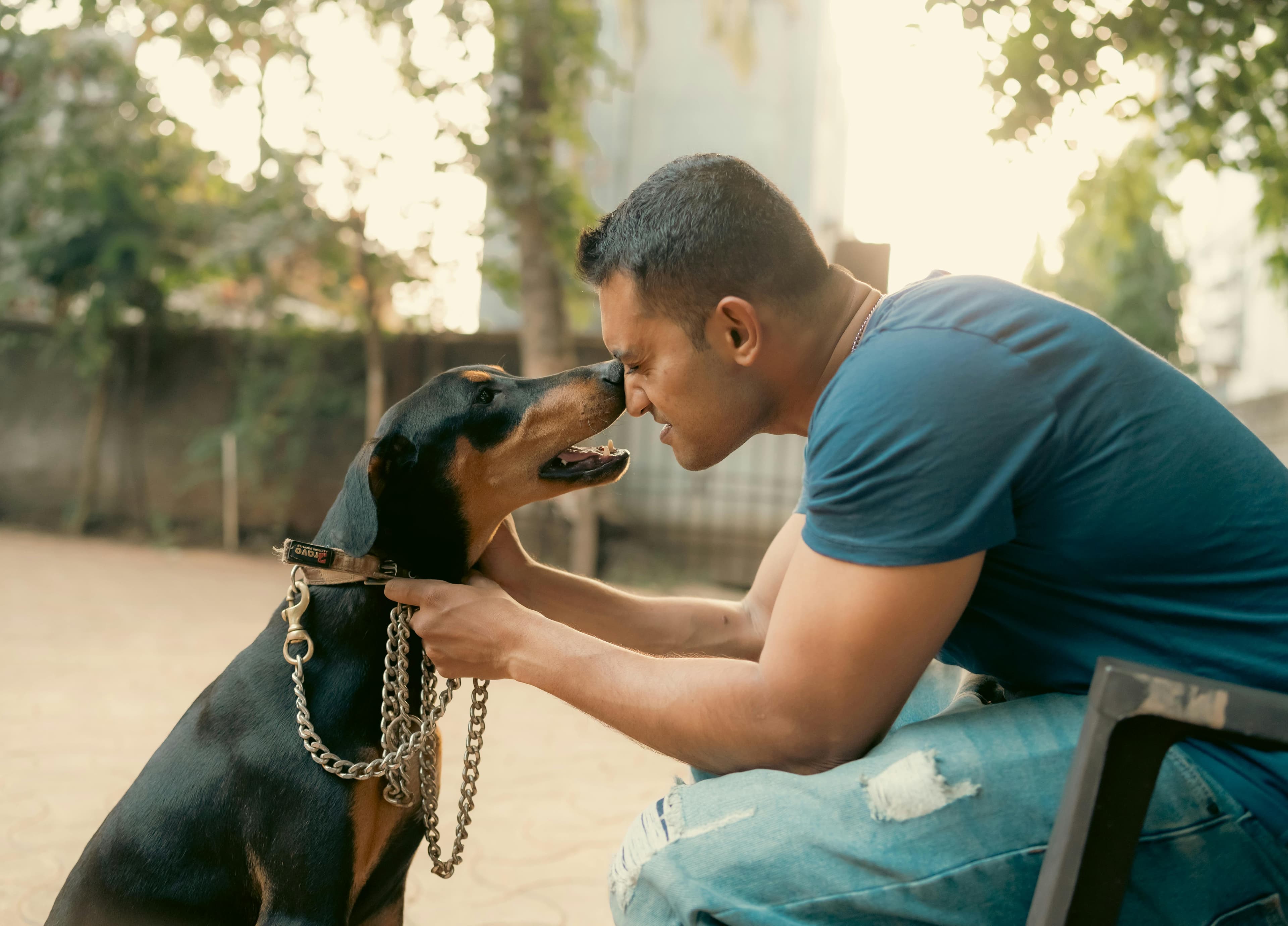 Man nose to nose with his Doberman
